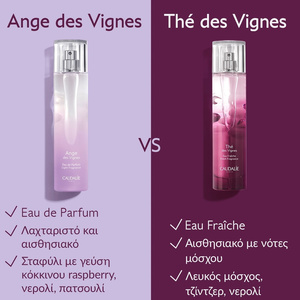 Light Fragrance Ange des Vignes Γυναικείο Άρωμα Mε Φρουτώδεις Νότες 50ml